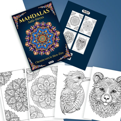 livre_de_coloriage - Bichop_colors - Mandala - Anti - stress
